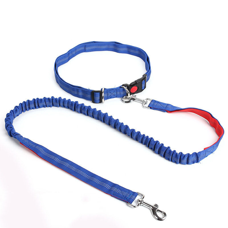Hands Free Dog Leash for Running, Walking, Hiking, and More