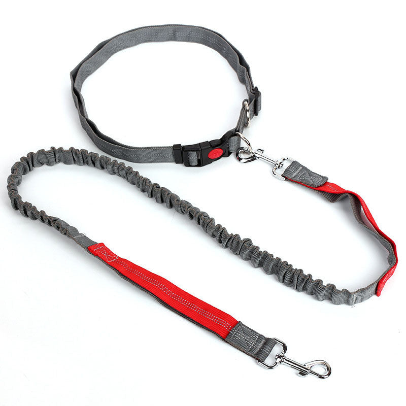 Hands Free Dog Leash for Running, Walking, Hiking, and More