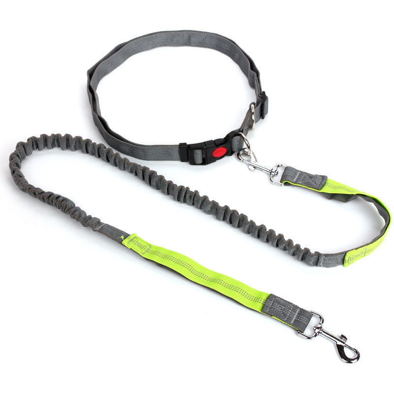 Hands Free Dog Leash for Running, Walking, Hiking, and More