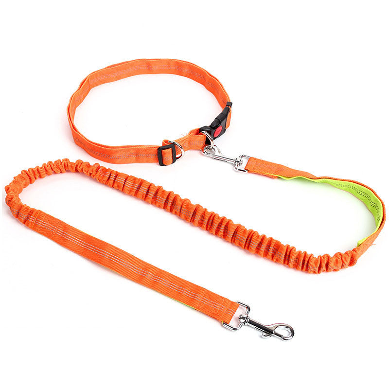 Hands Free Dog Leash for Running, Walking, Hiking, and More