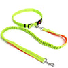 Image of Hands Free Dog Leash for Running, Walking, Hiking, and More