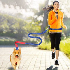 Hands Free Dog Leash for Running, Walking, Hiking, and More