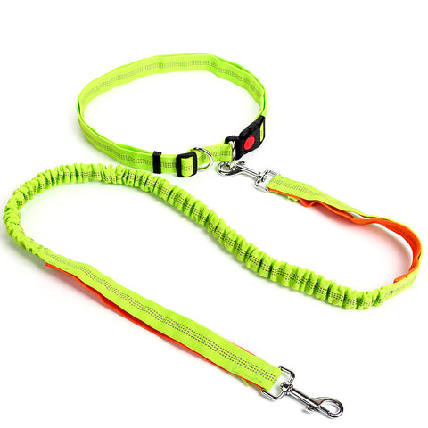 Hands Free Dog Leash for Running, Walking, Hiking, and More